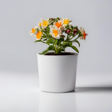 AromaBliss Plant Magento 2 Demo